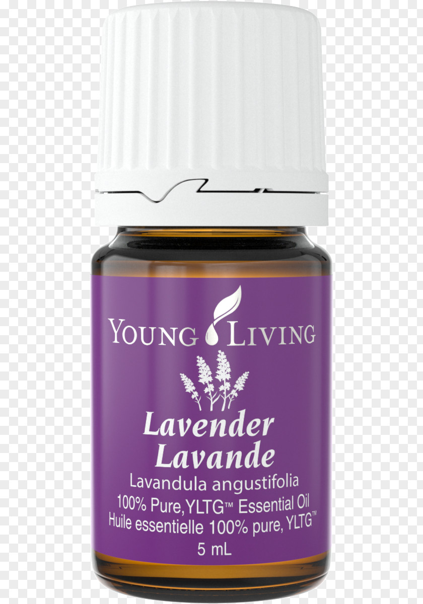 Essential Oils Allergic Reaction Lavender Oil Young Living Palo Santo PNG