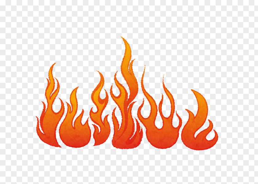 Flame Fire Logo PNG