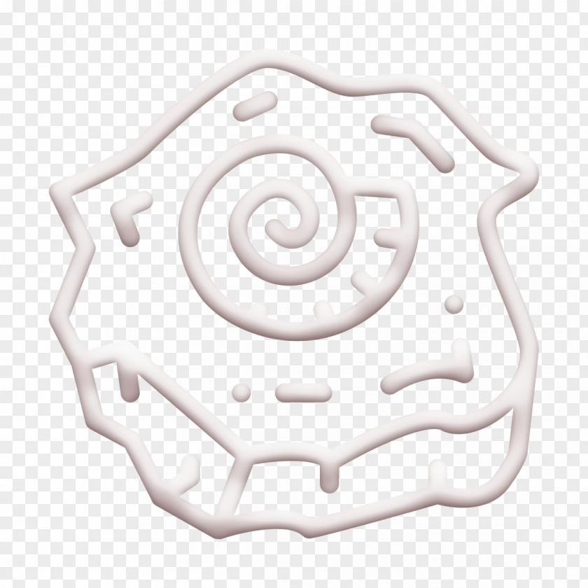 Fossil Icon Shell Archeology PNG