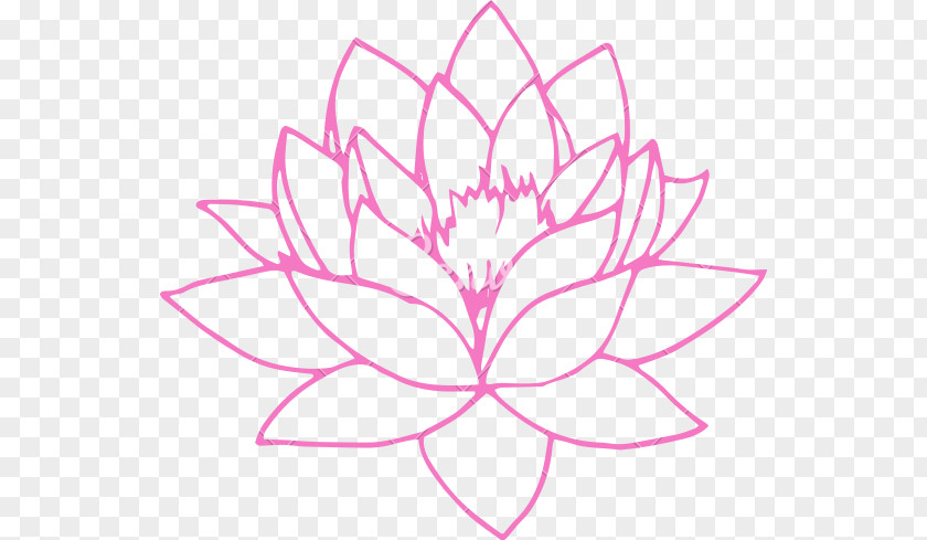 Lotus Flower Floral Design Clip Art PNG