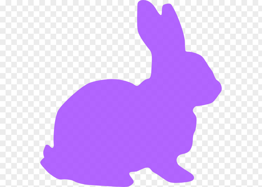 Rabit Easter Bunny White Rabbit Holland Lop Clip Art PNG
