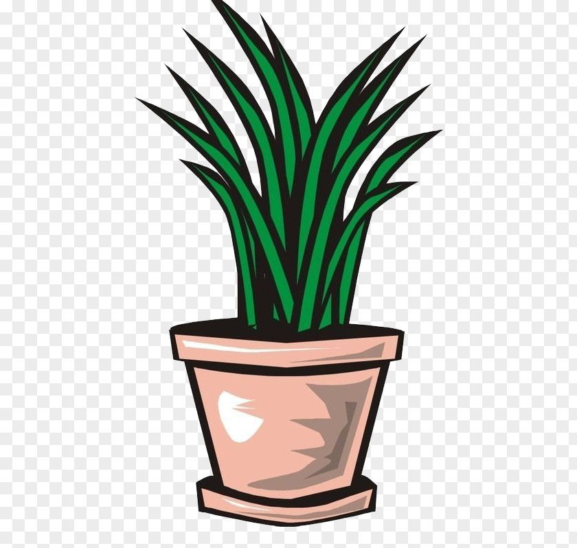 Small Bushes Shrub PNG