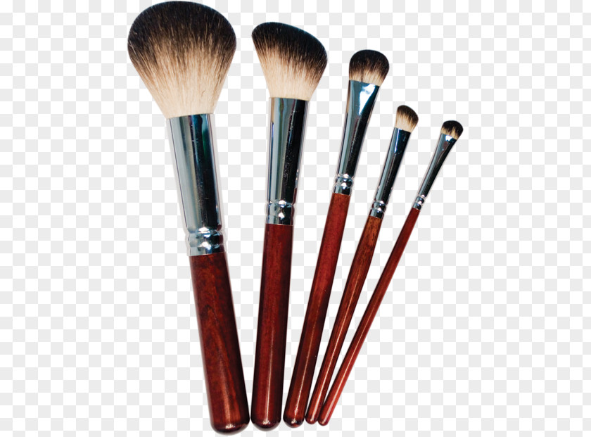 Beauty Accessories Makeup Brush Cosmetics PNG