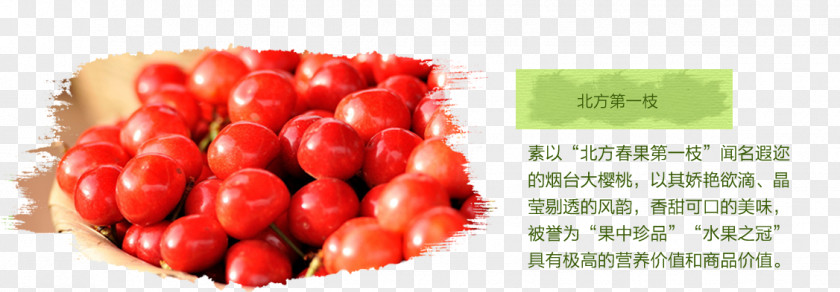 Cherry Tomato Fruit Computer File PNG