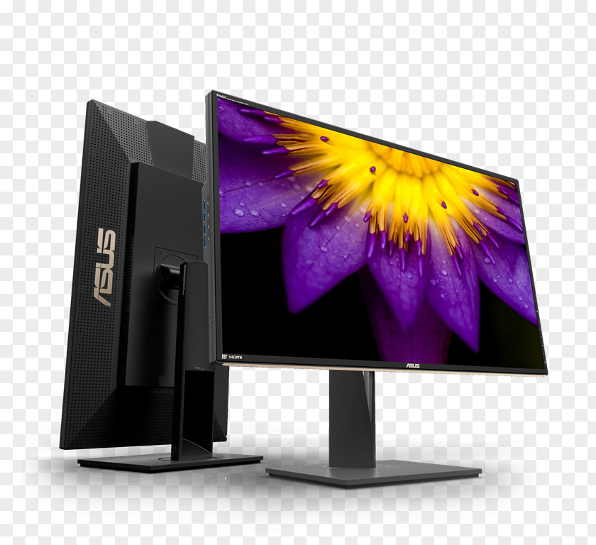 Computer Monitors IPS Panel ASUS PA-9Q 4K Resolution PNG