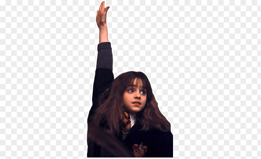 Harry Potter Hermione Granger And The Philosopher's Stone Draco Malfoy Telegram PNG