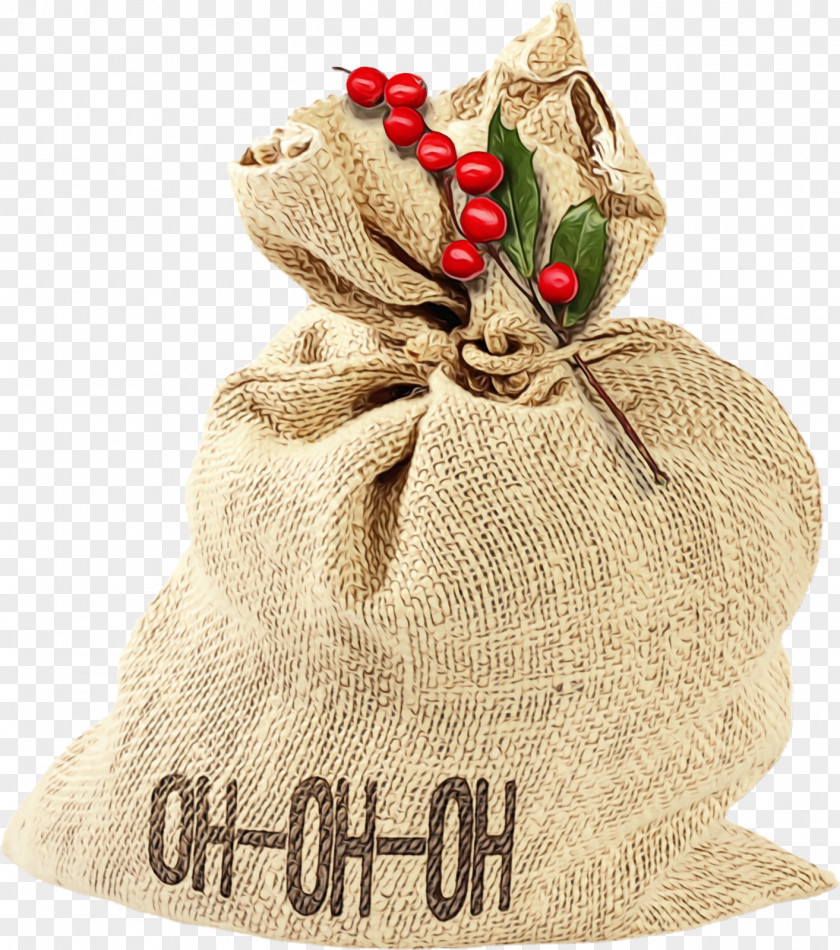 Holiday Ornament Money Bag PNG