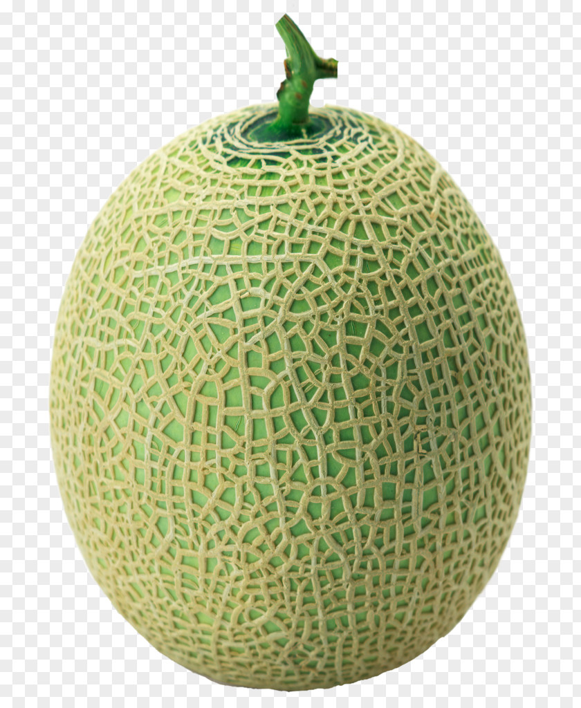 Melon Cantaloupe Honeydew Hami Galia PNG