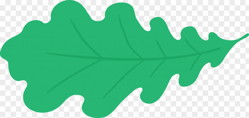 Oak Leaf PNG