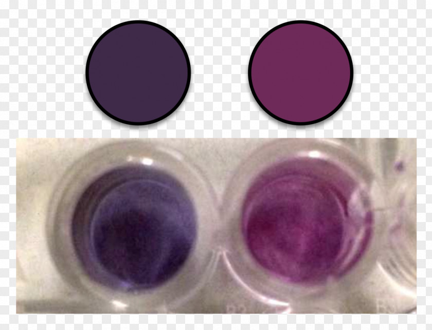Purple Colloidal Gold Color Solution Nanoparticle PNG