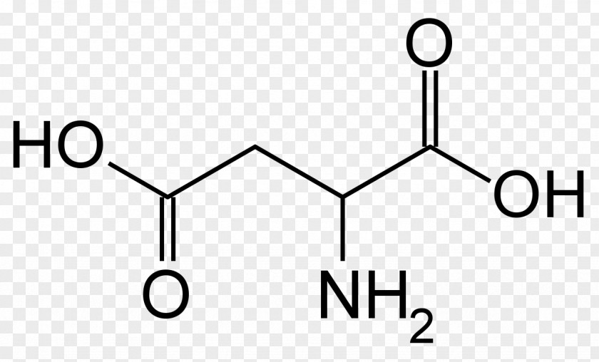 Sparta N-Methyl-D-aspartic Acid Succinic Amino PNG