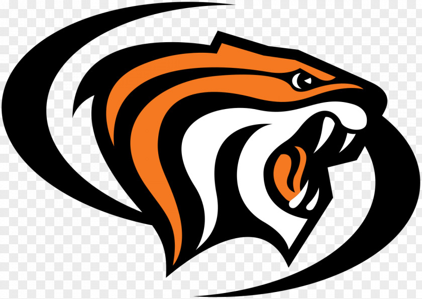 Basketball University Of The Pacific Tigers Men's Women's Sport PNG
