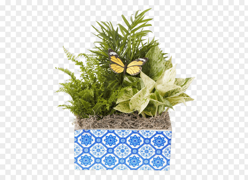 Plant Floral Design Cut Flowers Flowerpot PNG