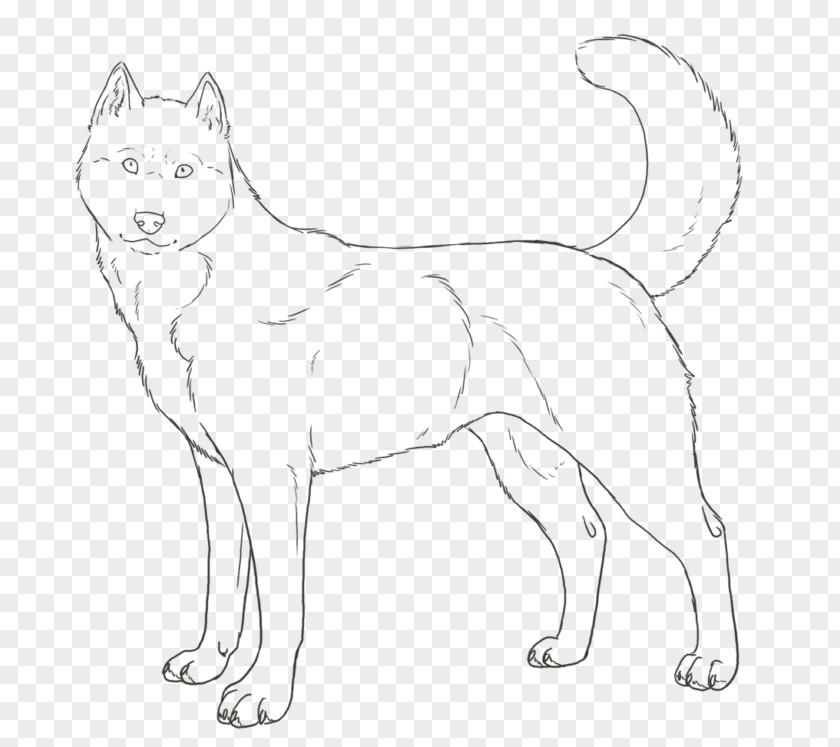 Puppy Siberian Husky Colouring Pages Coloring Book PNG