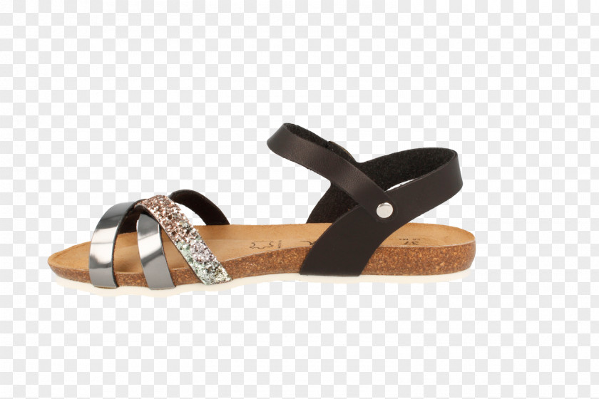 Sandal Slide Shoe PNG