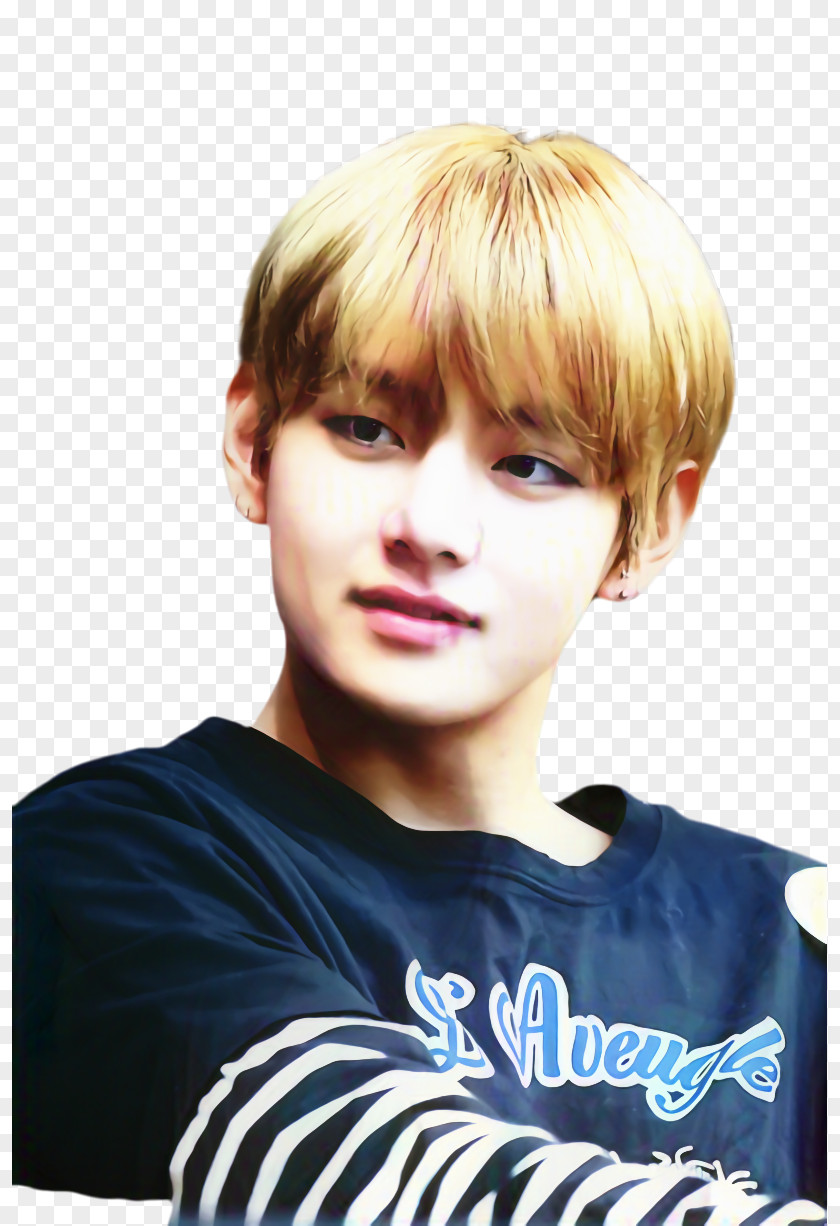 V BTS Blood Sweat & Tears K-pop Musician PNG