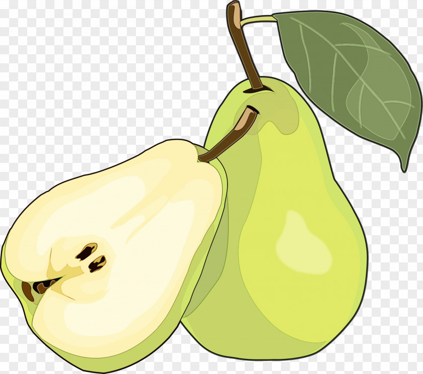 Accessory Fruit Food Apple Tree PNG