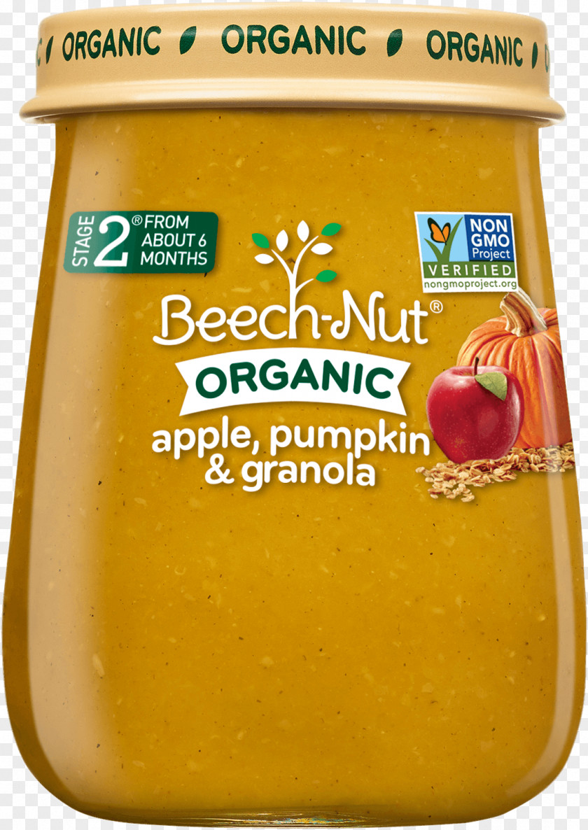 Beech Nut Oatmeal Baby Food Organic Vegetarian Cuisine Pumpkin PNG