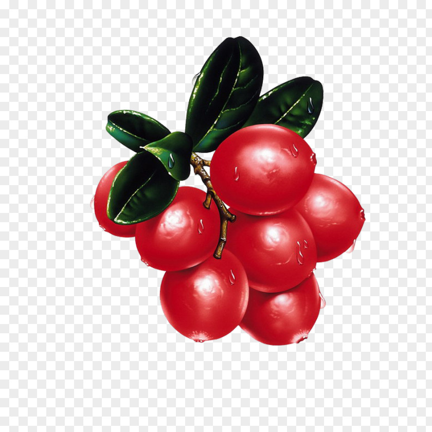 Cherry Art Fruit PNG