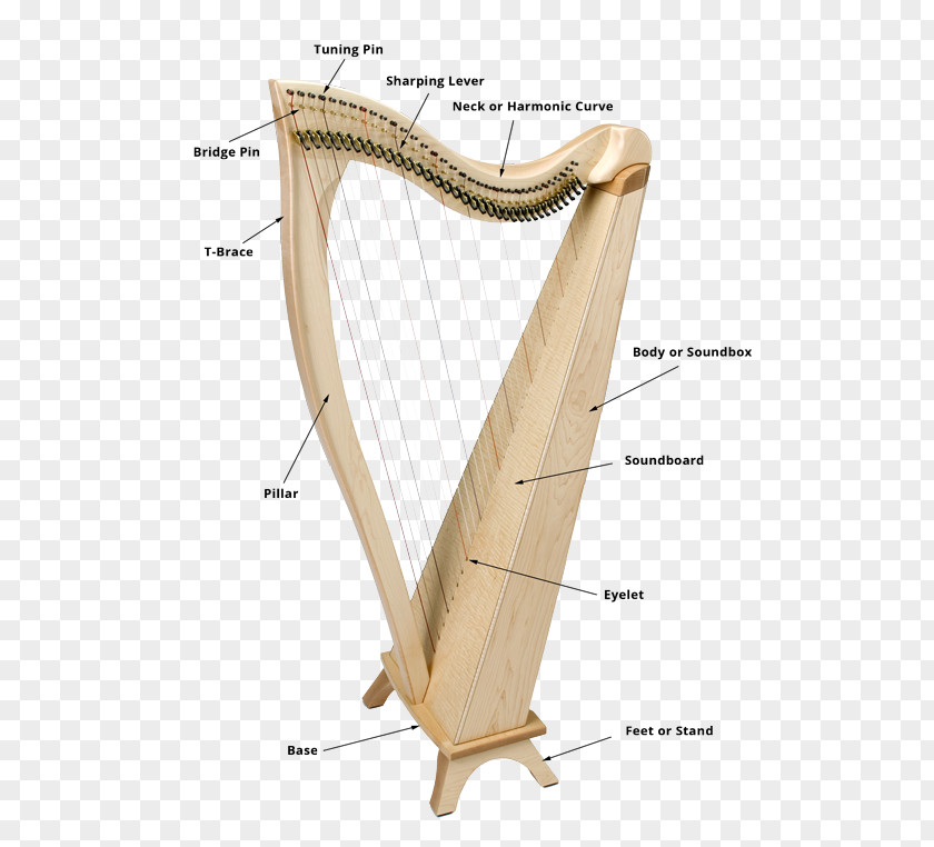 Harp Pedal String Instruments Musical PNG