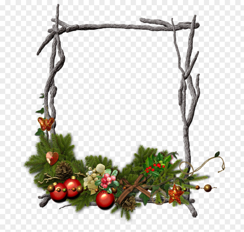 Tree Branch Twig Picture Frames PNG