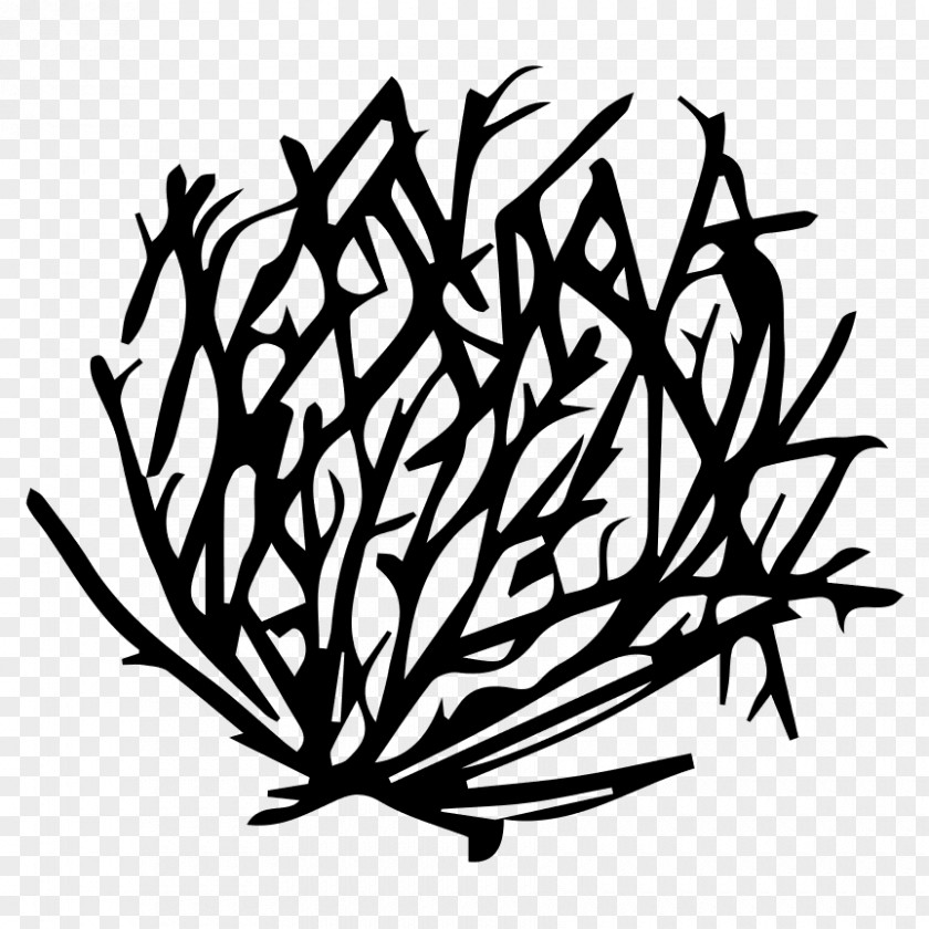 Black Ink Tumbleweed Drawing Clip Art PNG