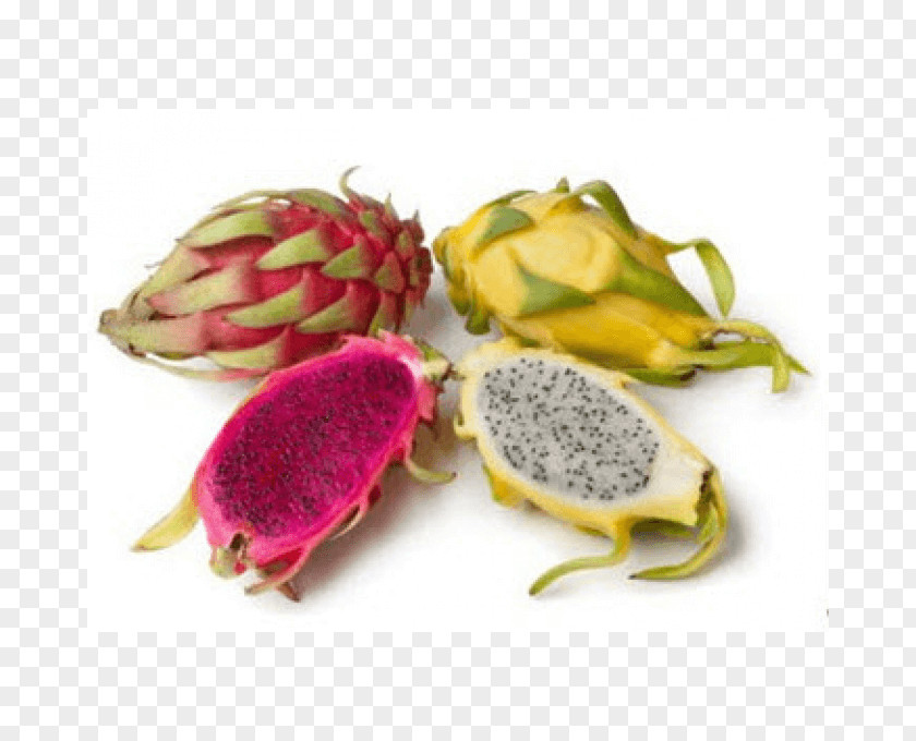 Dragon Fruit Pitaya Nutrition Health Dietary Fiber PNG