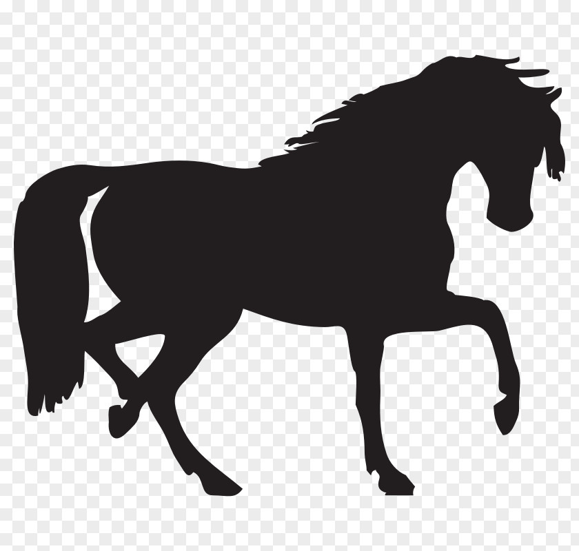 Silhouette Of A Horse Arabian Clip Art PNG