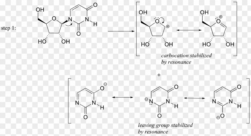 Art Of Writing Reasonable Organic Reaction Mechani Biochemistry Carbocation Electrophile White PNG
