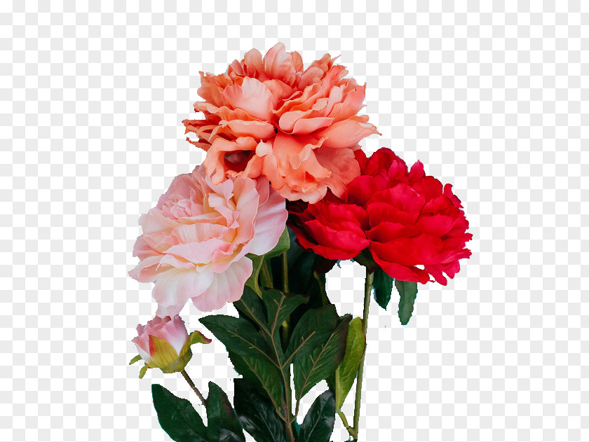 Bouquet Of Flowers The Best Yes: Making Wise Decisions In Midst Endless Demands Flower Photography Color PNG