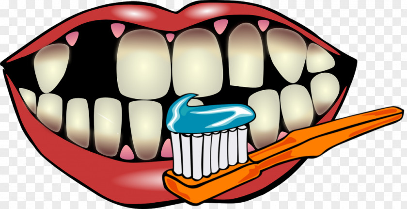 Dental Hygienist Human Tooth Decay Dentistry Gums PNG