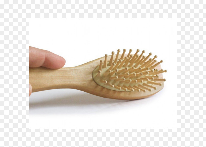 Hair Lotion Hairbrush Care PNG