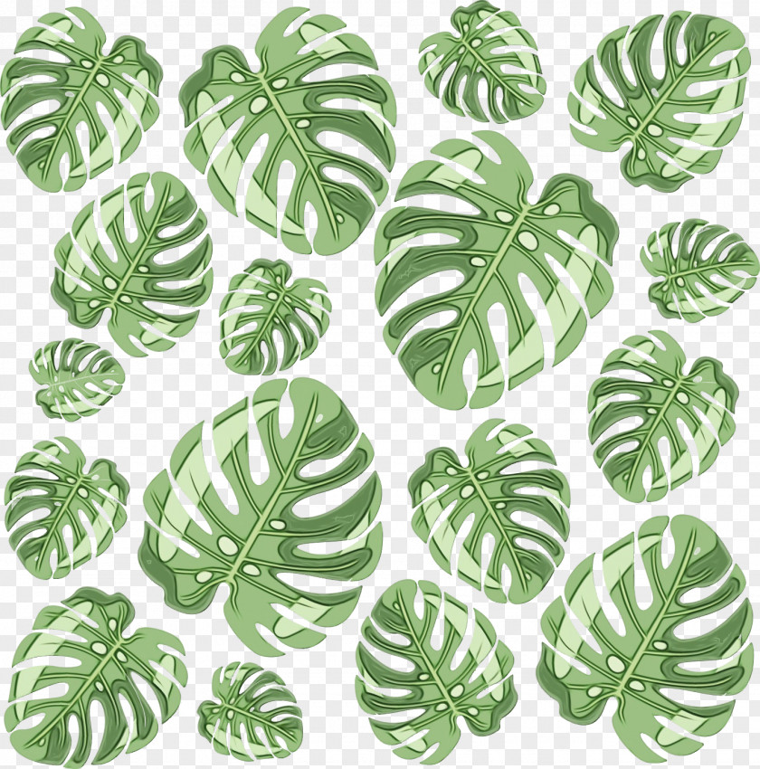 Leaf Tree Pattern Science Plant Structure PNG