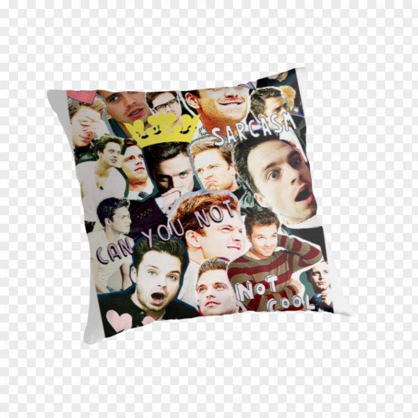 Sebastian Stan Cushion Throw Pillows Collage Couch PNG