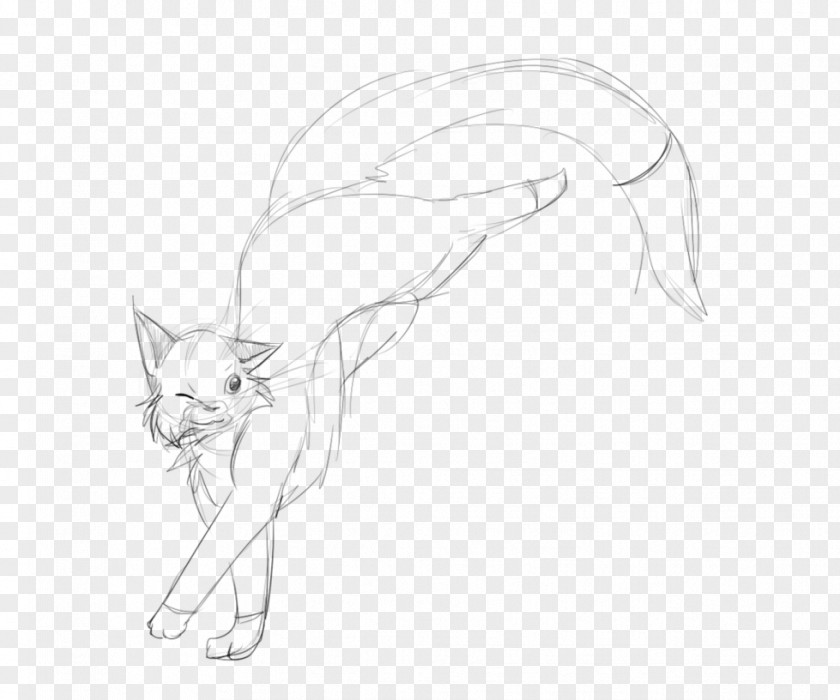 Star Sketch Drawing Cat Line Art Cartoon PNG