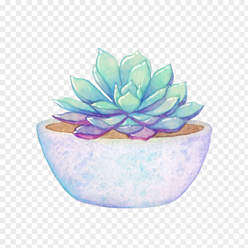 Watercolor Plants Morty Smith Pastel Plant Cactaceae Botany PNG