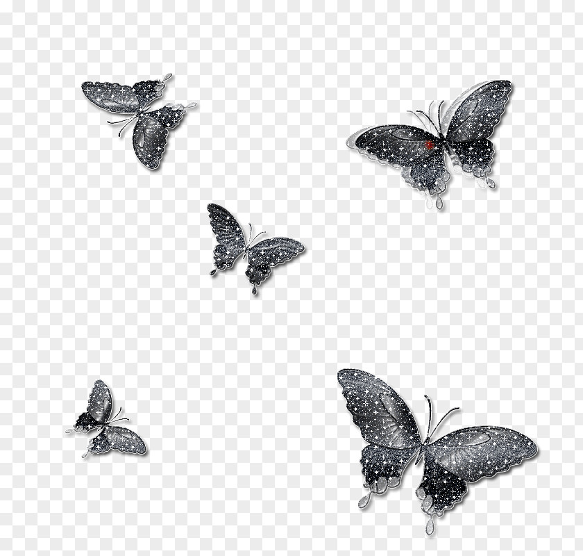 Butterfly Mariposa Insect Moth Clip Art PNG