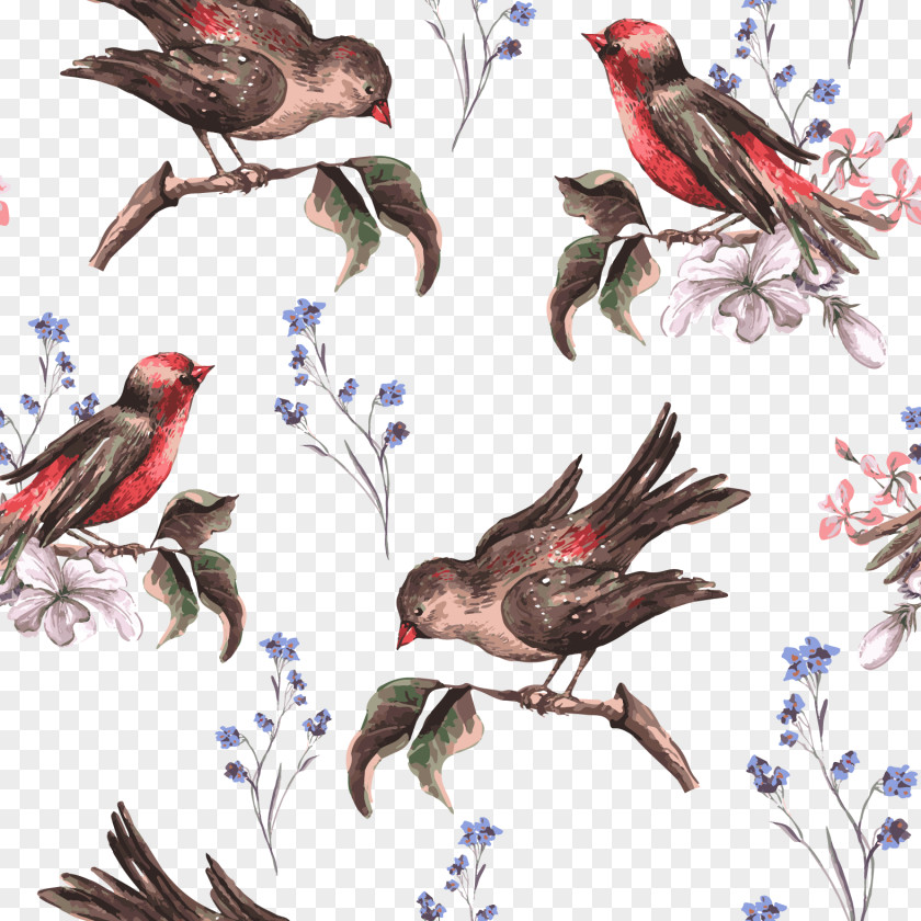 Flowers And Birds Vector Free Download Bird Flower Euclidean Illustration PNG
