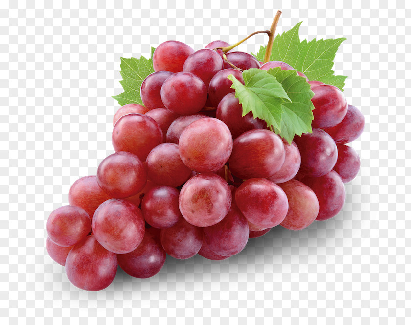 Grapes Red Common Grape Vine Wine Globe PNG