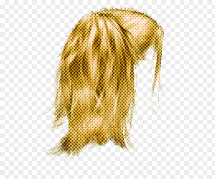 Hair Blond Hairstyle Wig Long PNG