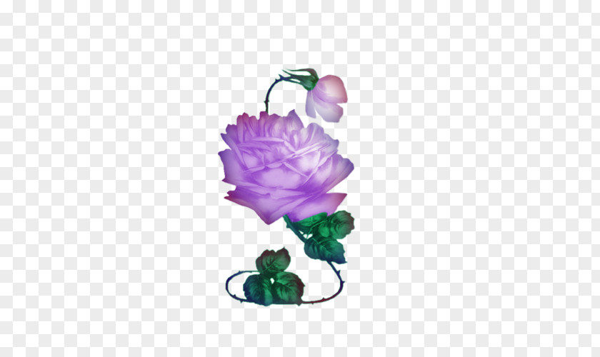 Rose Garden Roses Floral Design Cut Flowers Petal PNG