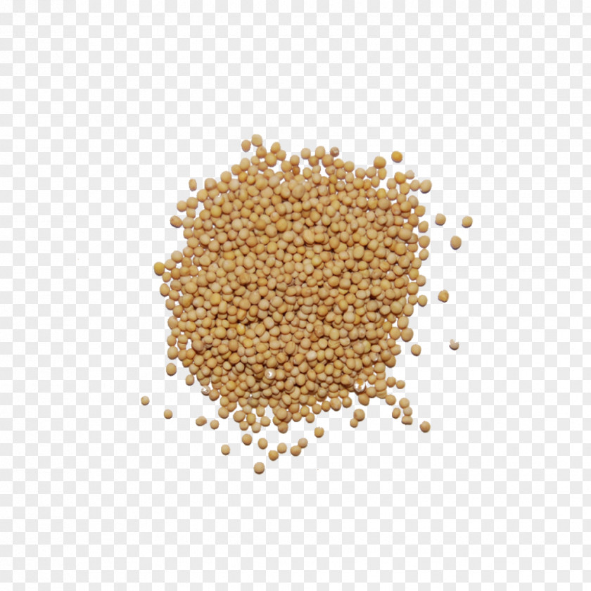 Seeds Mustard Seed Spice Seasoning Food PNG