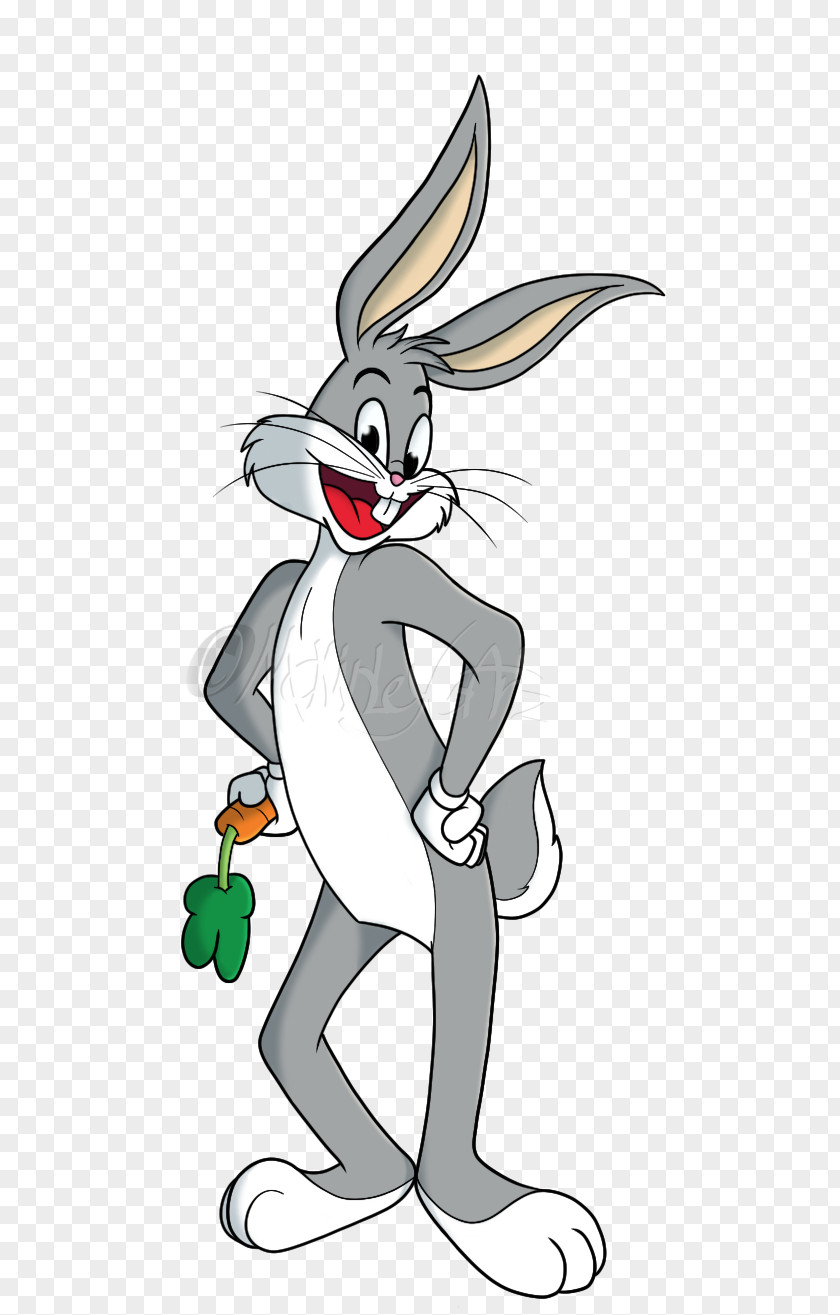 Whatsup Doc Bugs Bunny Domestic Rabbit Hare Drawing Cartoon PNG