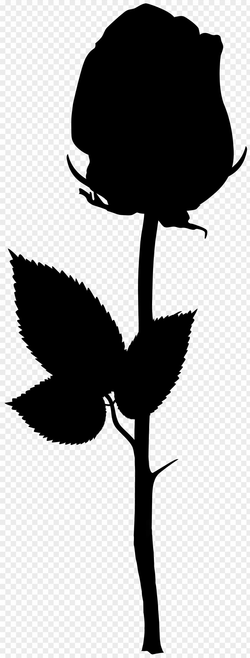 Clip Art Flower Plant Stem Leaf Silhouette PNG