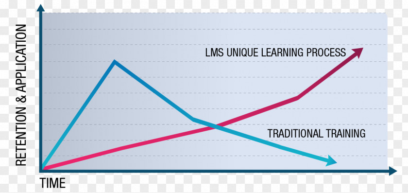 Leadership Management Singapore Pte Ltd Triangle PNG