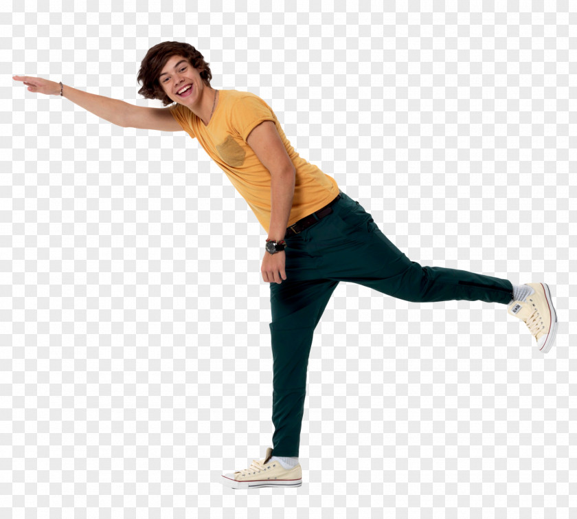 Photoshop One Direction Harry Potter Boy Band PNG