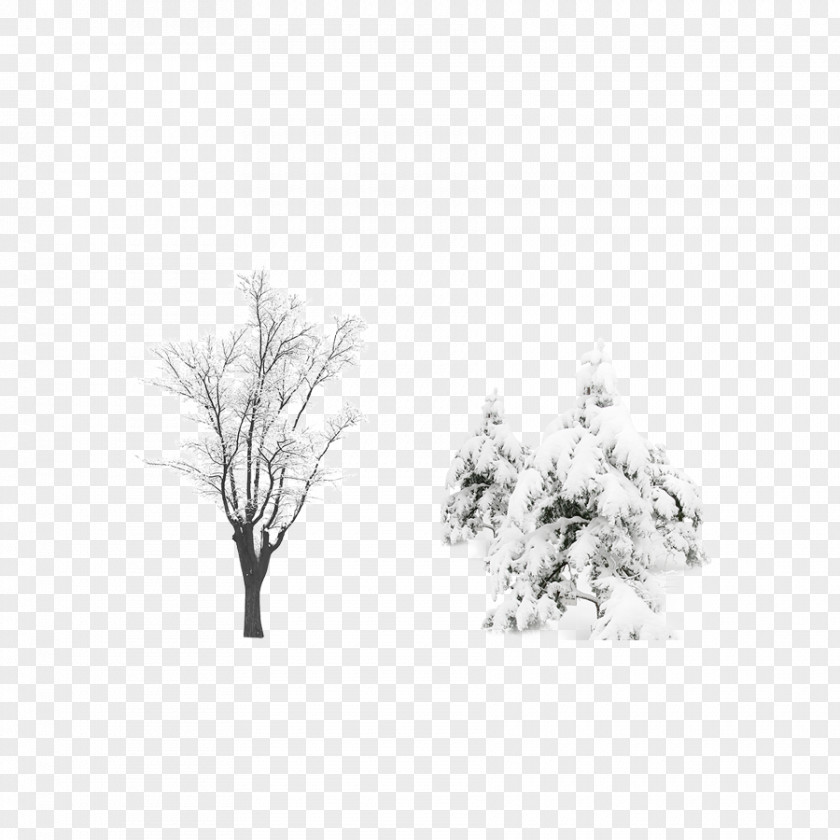After The Snow Tree Vector Source File Computer PNG