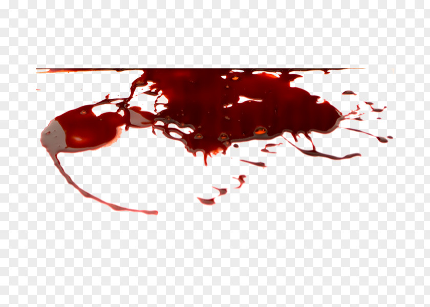 Blood PNG Image Don't Starve Together Bloodstain Pattern Analysis PNG