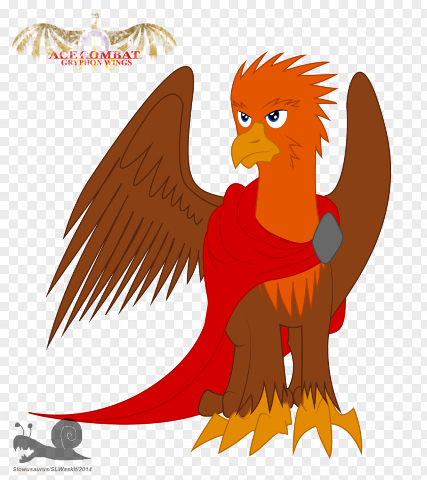 Chicken Beak Bird Of Prey PNG