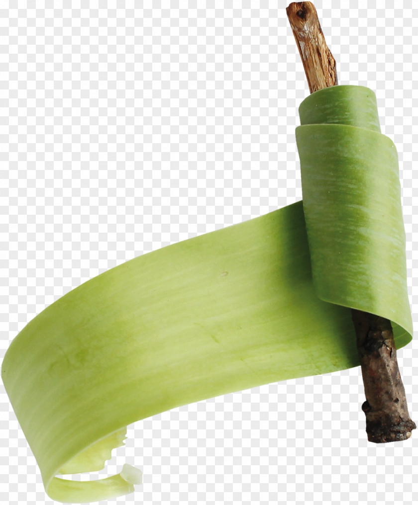 Chinese Style Plant Stem PNG